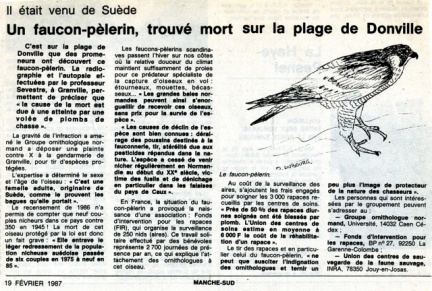 19870212-50-donville-faucon-peleri-1