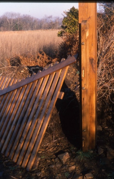 19891000-50-carolles-reserve-barriere-2.jpg